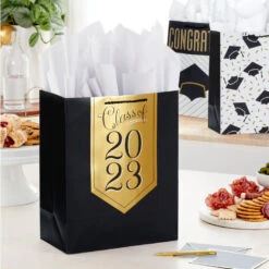 Hallmark 13" Assorted Grad Designs 3-Pack Large Gift Bags With Tissue Paper -Hallmark Sales Store Assorted Grad Designs 3Pack Large Gift Bags With Tissue Paper 5GBC1015 02