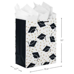 Hallmark 13" Assorted Grad Designs 3-Pack Large Gift Bags With Tissue Paper -Hallmark Sales Store Assorted Grad Designs 3Pack Large Gift Bags With Tissue Paper 5GBC1015 03