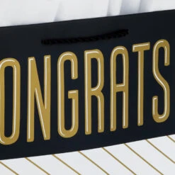 Hallmark 13" Assorted Grad Designs 3-Pack Large Gift Bags With Tissue Paper -Hallmark Sales Store Assorted Grad Designs 3Pack Large Gift Bags With Tissue Paper 5GBC1015 05