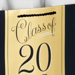 Hallmark 13" Assorted Grad Designs 3-Pack Large Gift Bags With Tissue Paper -Hallmark Sales Store Assorted Grad Designs 3Pack Large Gift Bags With Tissue Paper 5GBC1015 06