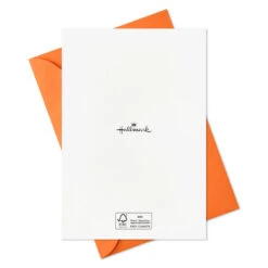 Hallmark Boo To You Boxed Halloween Cards Assortment, Pack Of 36 18 Hallmark Boo To You Boxed Halloween Cards Assortment, Pack Of 36 -Hallmark Sales Store Boo to You Boxed Halloween Cards Assortment 5ELT1011 08