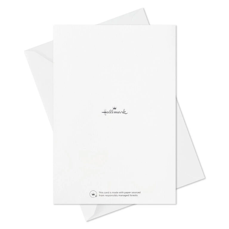 Hallmark Colorful Classic Boxed All-Occasion Cards Assortment, Pack Of 12 12 Hallmark Colorful Classic Boxed All-Occasion Cards Assortment, Pack Of 12 - Image 10