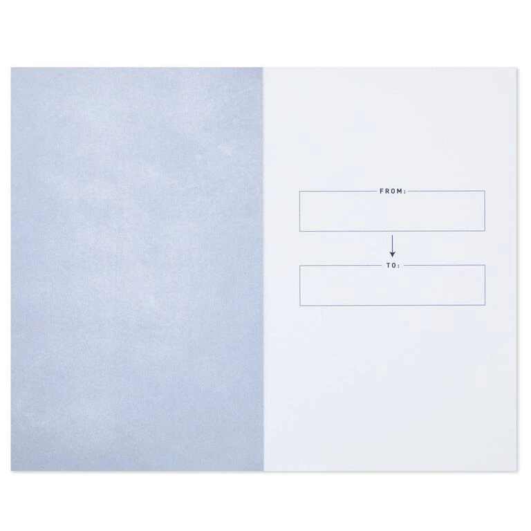 Hallmark College Survival Guide: Tips, Tricks, And A Little Financial Aid Book 4 Hallmark College Survival Guide: Tips, Tricks, And A Little Financial Aid Book - Image 2