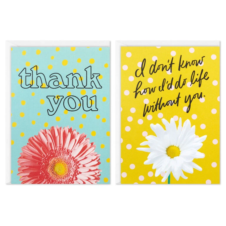 Hallmark Colorful Daisies Boxed Thank-You Notes, Pack Of 50 4 Hallmark Colorful Daisies Boxed Thank-You Notes, Pack Of 50 - Image 2
