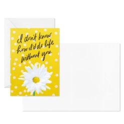 Hallmark Colorful Daisies Boxed Thank-You Notes, Pack Of 50 12 Hallmark Colorful Daisies Boxed Thank-You Notes, Pack Of 50 -Hallmark Sales Store Colorful Daisies Boxed ThankYou Notes 3THK2543 04