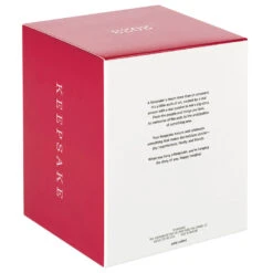 Hallmark Disney/Pixar Lightyear Zurg Ornament -Hallmark Sales Store Disney Lightyear Zurg Keepsake Ornament 1999QXD6689 05