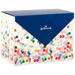 Hallmark Assorted All-Occasion Cards In Polka Dot Organizer Box, Box Of 24 -Hallmark Sales Store Everyday Cards Organized Storage Box 5EDX3456 03