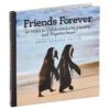 Hallmark Friends Forever: 42 Ways To Celebrate Love, Loyalty And Togetherness Book 2 Hallmark Friends Forever: 42 Ways To Celebrate Love, Loyalty And Togetherness Book -Hallmark Sales Store Friends Forever 42 Ways to Celebrate Love Loyalty and Togetherness Book root 1BOK1438 BOK1438 01.jpg Source Image