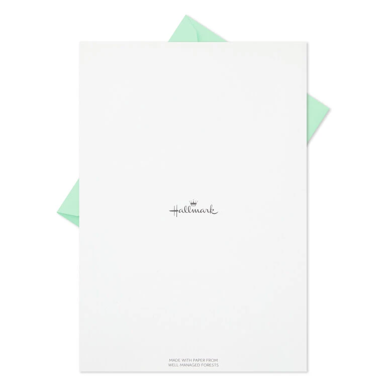Hallmark Fern Border Stationery Set, 20 Sheets 7 Hallmark Fern Border Stationery Set, 20 Sheets - Image 5
