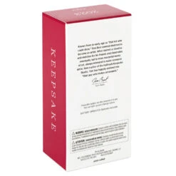 Hallmark Hot Wheels™ Mach Speeder™ Ornament With Light -Hallmark Sales Store Hot Wheels Mac Speeder Keepsake Ornament 1999QXI7389 05