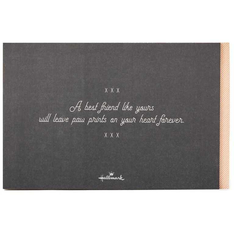 Hallmark Paw Prints On Your Heart: Saying Good-bye To Your Best Friend 5 Hallmark Paw Prints On Your Heart: Saying Good-bye To Your Best Friend - Image 3