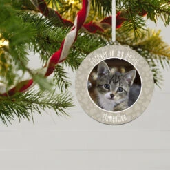 Hallmark Pet Memorial Personalized Text And Photo Ceramic Ornament -Hallmark Sales Store Pet Memorial Personalized Round Ceramic Ornament 1999QHE1711B32 02