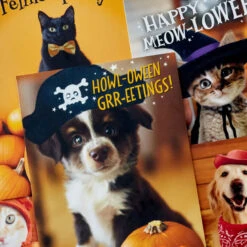 Hallmark Pet Puns Boxed Halloween Cards Assortment, Pack Of 48 -Hallmark Sales Store Pet Puns Boxed Halloween Cards Assortment 5ELT1013 03