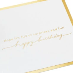 Hallmark It's Your Day Puppy In Present 3D Pop-Up Birthday Card 12 Hallmark It's Your Day Puppy In Present 3D Pop-Up Birthday Card -Hallmark Sales Store Puppy in a Present 3D PopUp Birthday Card 1299LAD2883 03