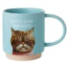 Hallmark Judgmental Cat Funny Mug, 16 Oz. -Hallmark Sales Store Shoebox Judgmental Cat Funny Coffee Mug 1MUG3533 01