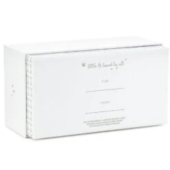 Hallmark Baby's First Hair Brush And Comb, Set Of 2 -Hallmark Sales Store Silver Baby Hair Brush and Comb 1BBY4730 05