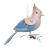 Hallmark The Beauty Of The Birds Leucistic Steller's Jay Ornament -Hallmark Sales Store Stellers Jay Blue Bird Keepsake Ornament 1799QXE3307 01