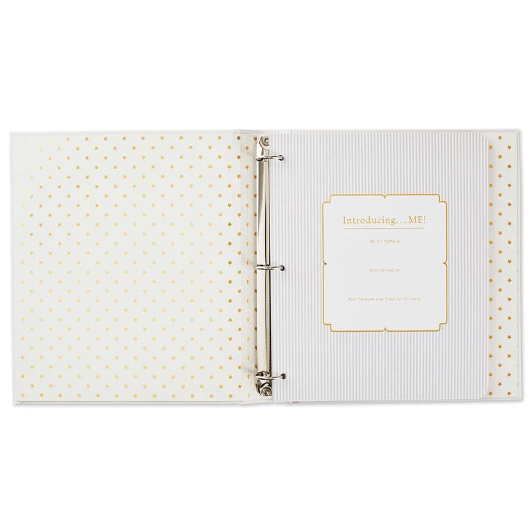 Hallmark Sweet Baby's First Five Years Baby Book 4 Hallmark Sweet Baby's First Five Years Baby Book - Image 2