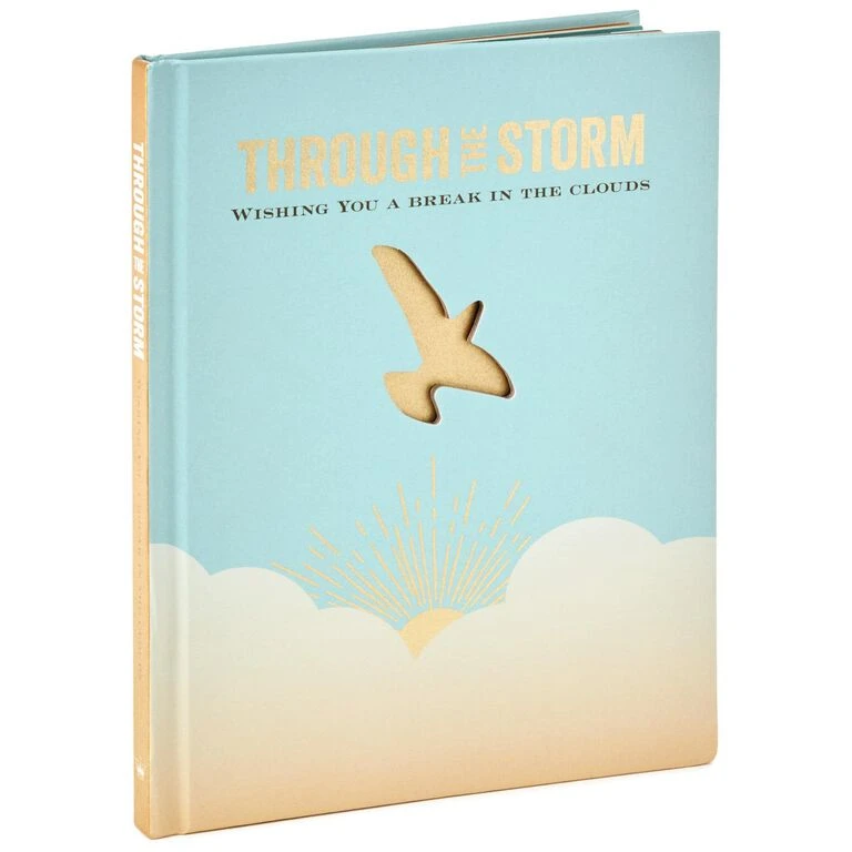 Hallmark Through The Storm: Wishing You A Break In The Clouds Book 3 Hallmark Through The Storm: Wishing You A Break In The Clouds Book