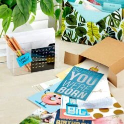 Hallmark Warm Wishes Assorted All-Occasion Cards, Box Of 48 -Hallmark Sales Store Warm Wishes Assorted AllOccasion Cards Bulk Pack 5EDX1047 07