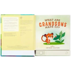Hallmark What Are Grandsons Made Of? Recordable Storybook -Hallmark Sales Store What Are Grandsons Made Of Recordable Storybook 1KOB1230 03