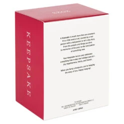 Hallmark The Wizard Of Oz™ Under The Poppies' Spell Ornament -Hallmark Sales Store Wizard of Oz Dorothy in Poppies Keepsake Ornament 2199QXI6107 05