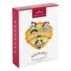 Hallmark Animaniacs™ Zany To The Max! Ornament